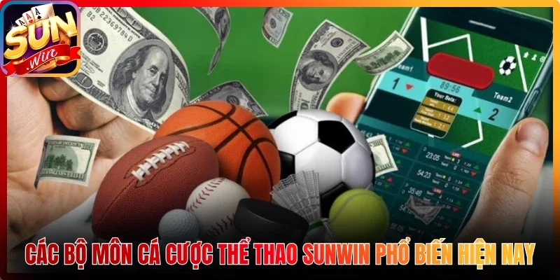 Các bộ môn cá cược thể thao Sunwin phổ biến hiện nay