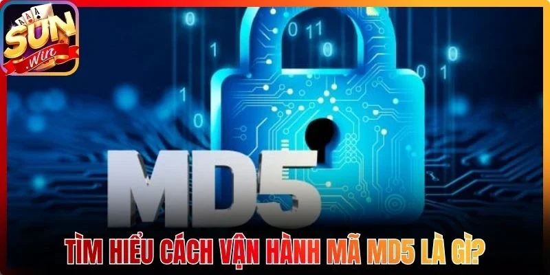 Tìm hiểu cách vận hành mã Md5 là gì?